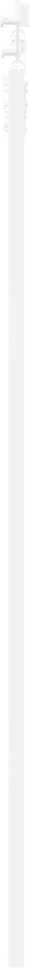 Slankios durys 93 x 211 cm Tvirtos pušies mediena ir stiklas