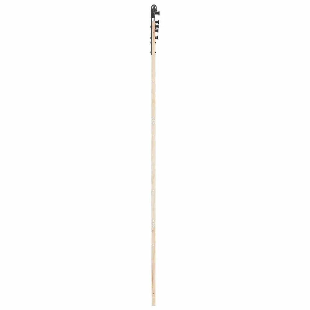 Slankios durys Natūrali 100 x 208 cm Pušies medienos masyvas