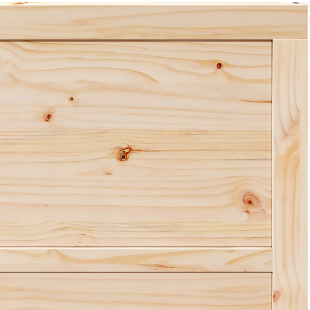 Slankios durys Natūrali 100 x 208 cm Pušies medienos masyvas