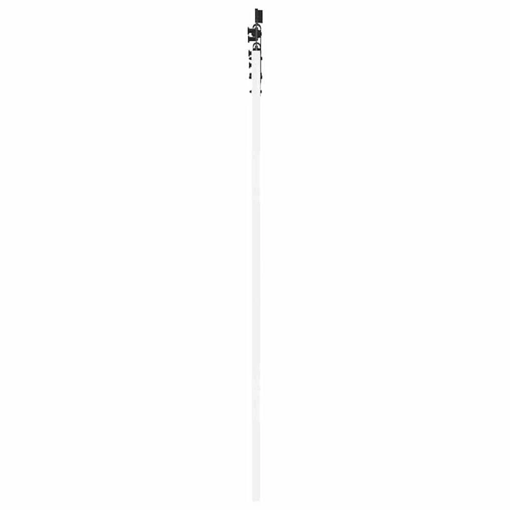 Slankios durys 61 x 198,5 cm Tvirtos pušies mediena ir stiklas