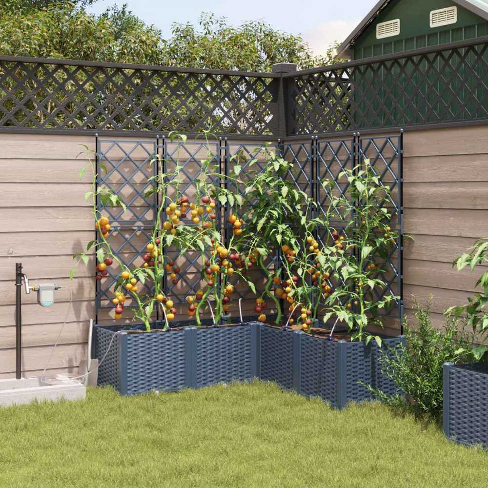 Sodo vazonas 2 vnt. Pilka 80 x 40 x 143 cm PP