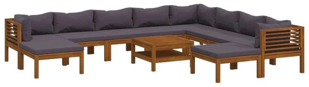 Sodo baldų komplektas su pagalvėmis, 11 dalių, akacijos masyvas