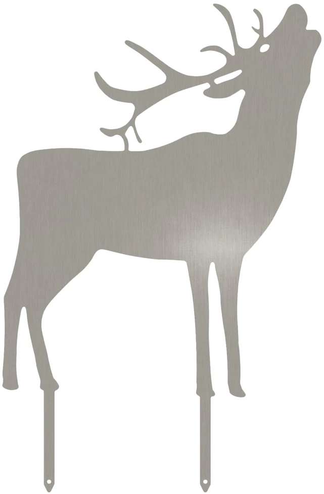 Sodo kuolas 46 x 30 cm Nerūdijantis plienas Sidabrinė