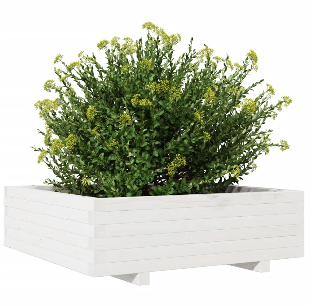 Sodo lovelis, baltas, 80x80x26,5cm, pušies medienos masyvas