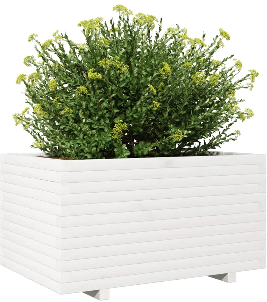 Sodo lovelis, baltas, 90x60x49,5cm, pušies medienos masyvas