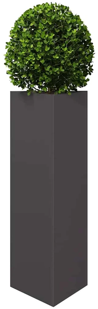Sodo lovelis, juodos spalvos, 30x26x75cm, plienas, trikampis