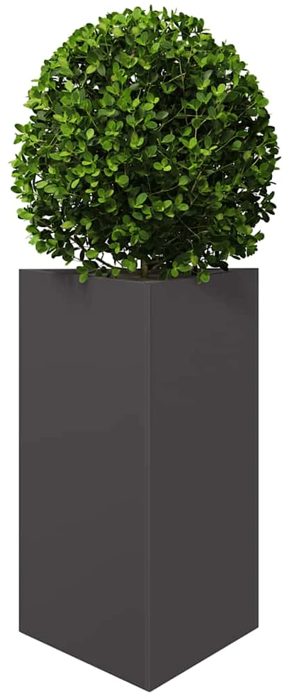 Sodo lovelis, juodos spalvos, 50x43x75cm, plienas, trikampis