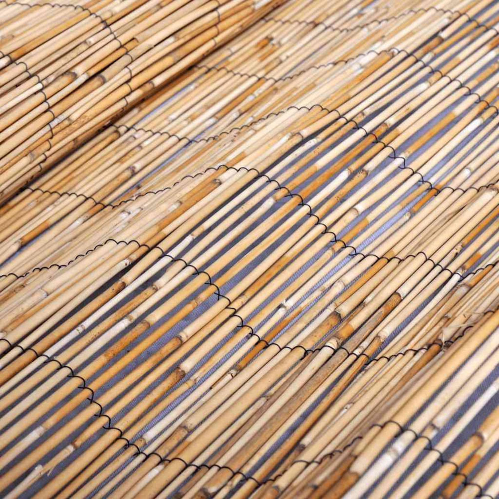 Sodo nendrių tvora, 500x100cm