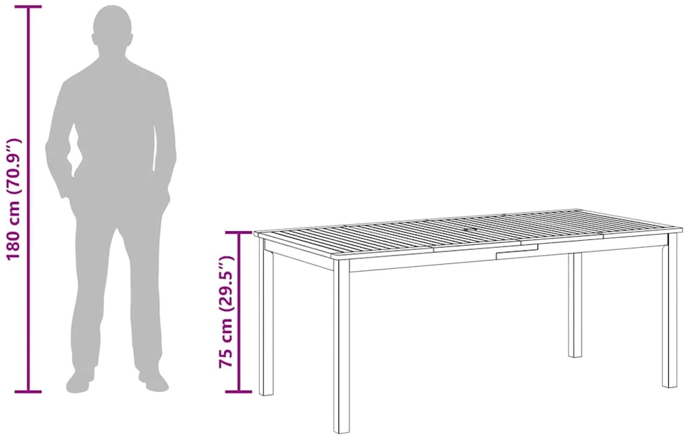 Sodo valgomojo stalas, 180x90x75cm, akacijos medienos masyvas