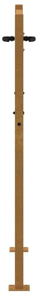 Sodo vartai, 105x155cm, corten plienas, žolės dizaino