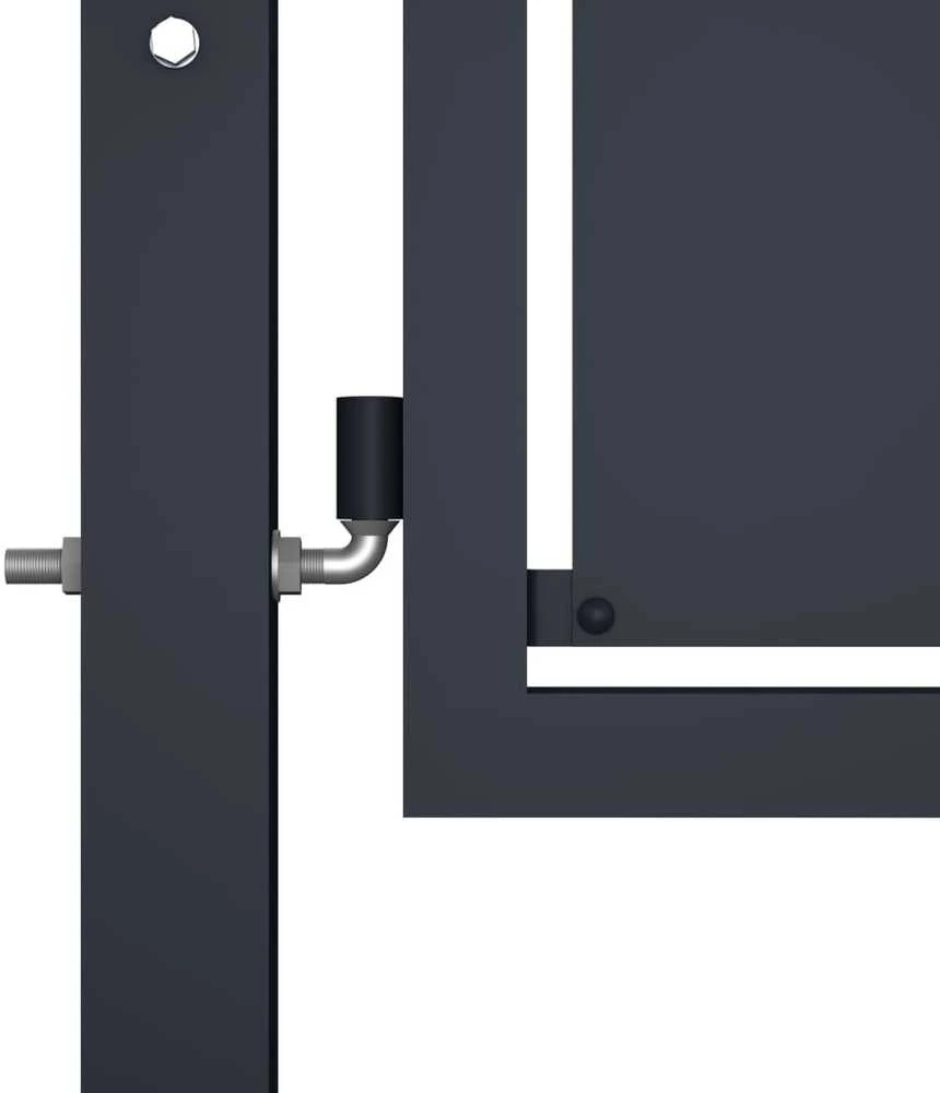 Sodo vartai, antracito spalvos, 300x100cm, plienas