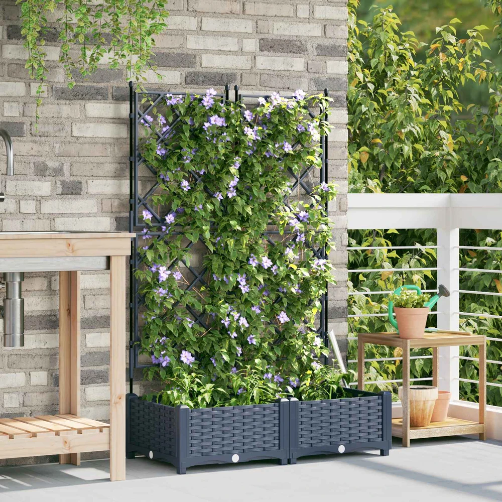 Sodo vazonas 2 vnt. Pilka 80 x 40 x 125,5 cm PP