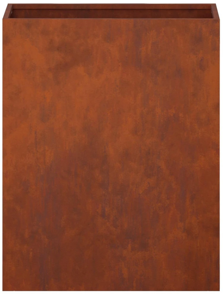 Sodo vazonas 2 vnt. Rūdijanti 40 x 20 x 50 cm