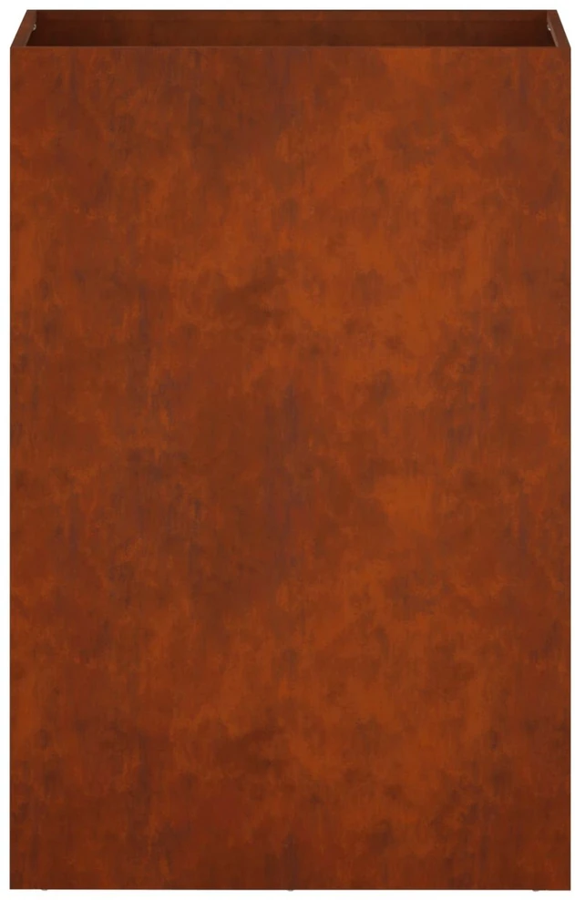 Sodo vazonas 2 vnt. Rūdijanti 50 x 30 x 75 cm