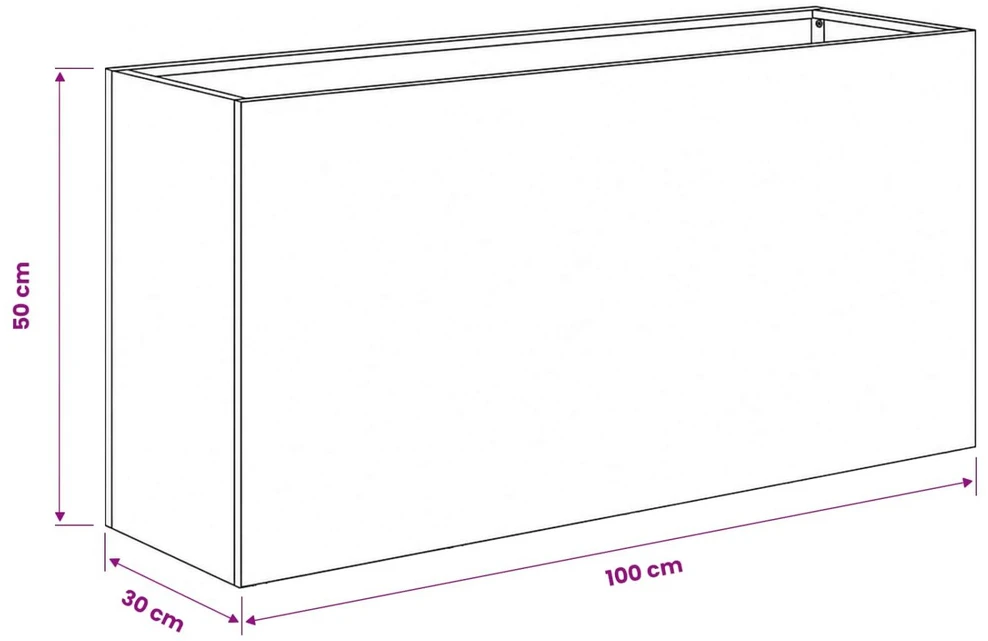 Sodo vazonas 2 vnt. Sidabrinė 100 x 30 x 50 cm