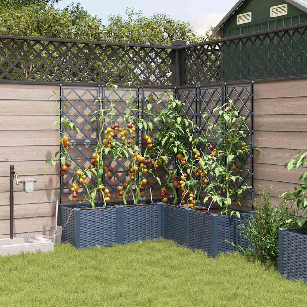 Sodo vazonas 3 vnt. Pilka 80 x 80 x 143 cm PP