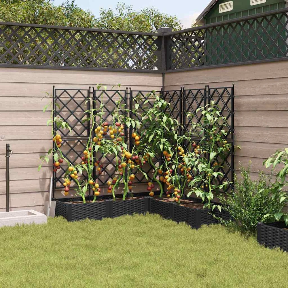 Sodo vazonas 5 vnt. Juoda 120 x 120 x 125,5 cm PP