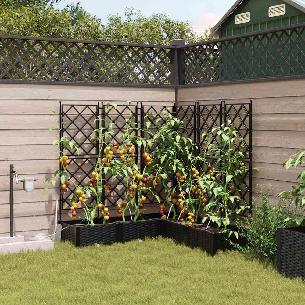 Sodo vazonas 5 vnt. Juoda 120 x 120 x 126 cm PP