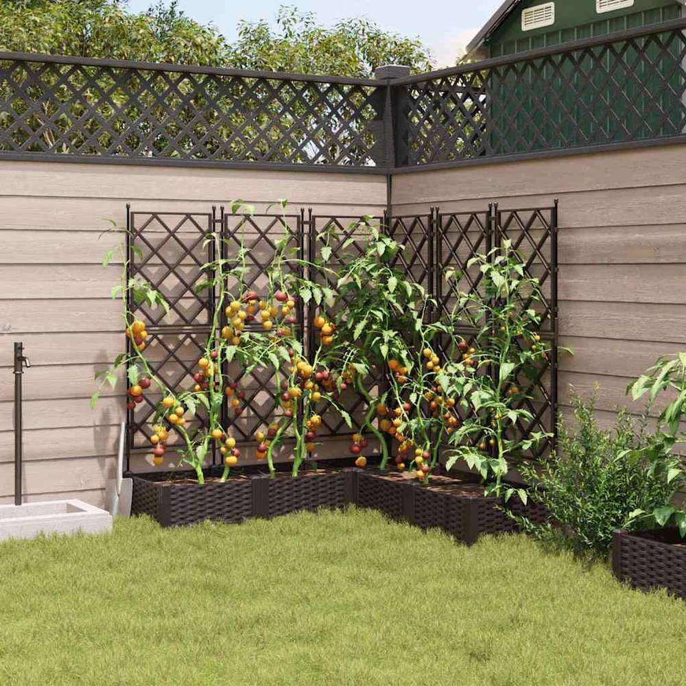 Sodo vazonas 5 vnt. Ruda 120 x 120 x 125,5 cm PP