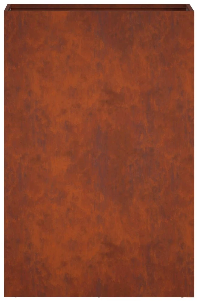 Sodo vazonas Rūdijanti 50 x 20 x 75 cm