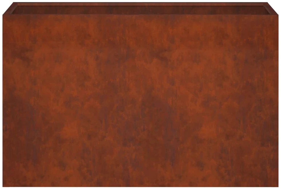 Sodo vazonas Rūdijanti 80 x 40 x 50 cm