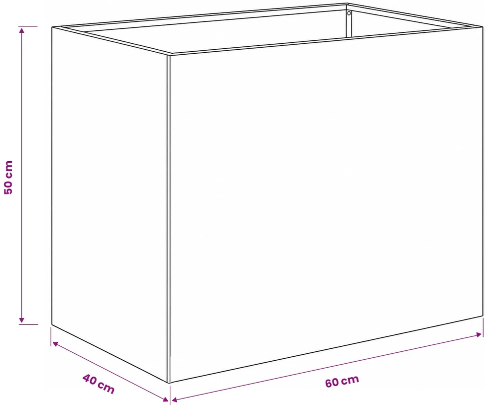 Sodo vazonas Sidabrinė 60 x 40 x 50 cm Galvanizuotas plienas