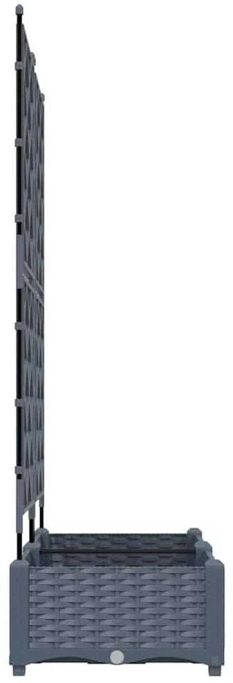 Sodo vazonas 2 vnt. Šviesiai pilka 80 x 40 x 125,5 cm PP