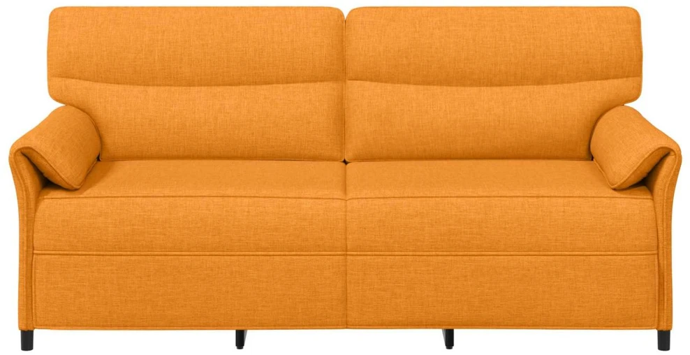 Sofa 100% poliesteris metalinis rėmas MDF, fanera