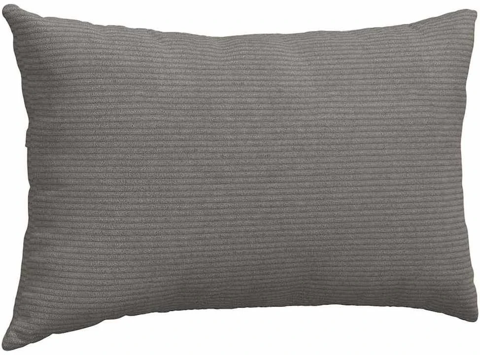 Sofa Pagalvės 2 pcs Šviesiai pilka 50 x 30 cm