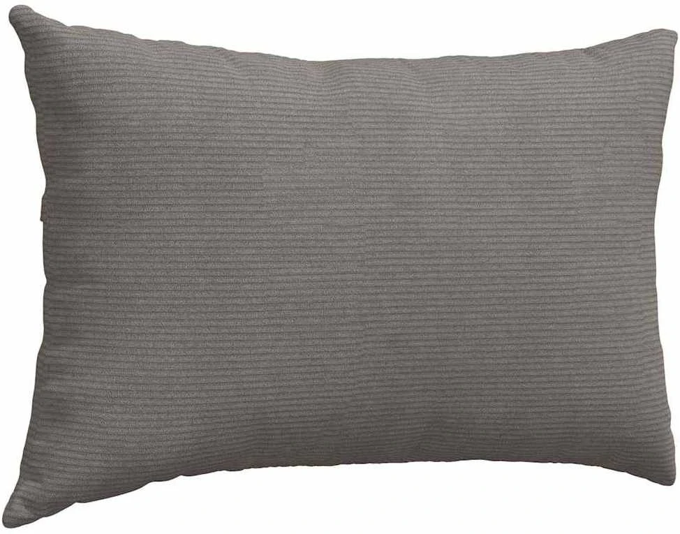 Sofa Pagalvės 2 pcs Šviesiai pilka 60 x 40 cm