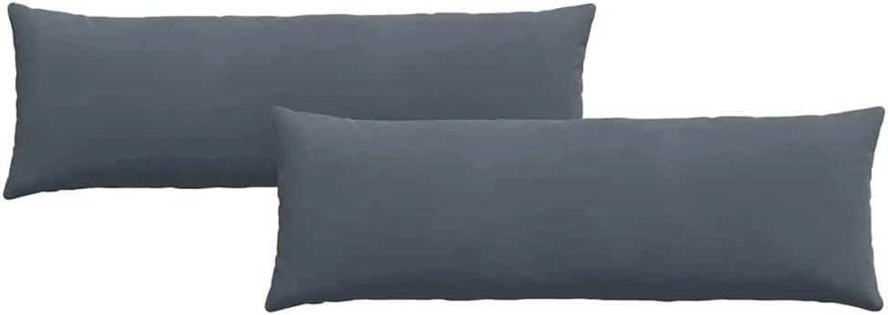 Sofa Pagalvės 2 pcs Tamsiai pilka 120 x 40 cm