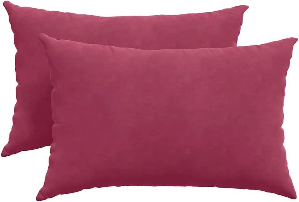 Sofa Pagalvės 2 pcs Vyno raudona 60 x 40 cm Kordūrinis audinys