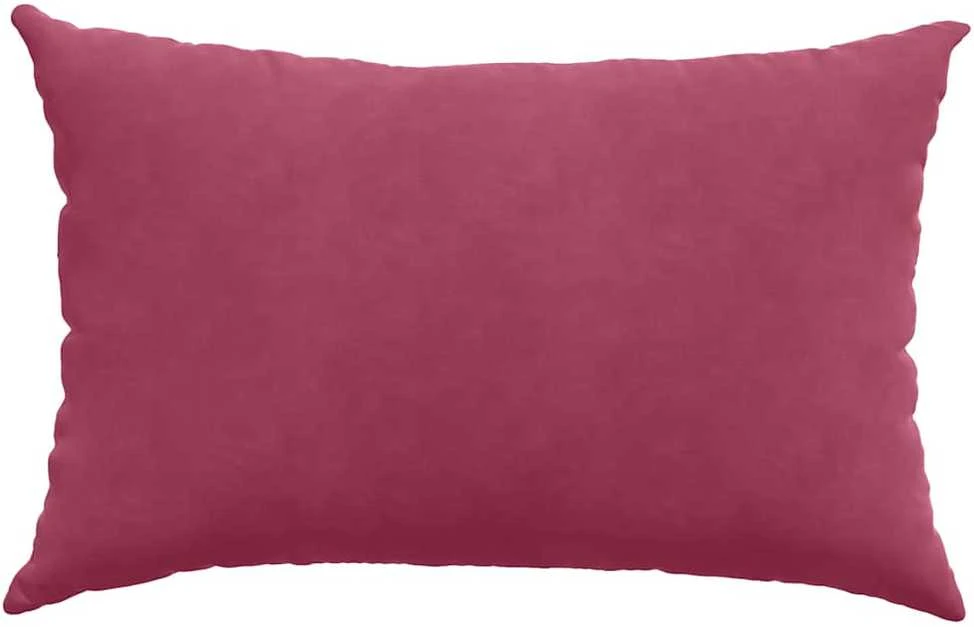 Sofa Pagalvės 2 pcs Vyno raudona 60 x 40 cm Kordūrinis audinys
