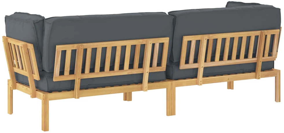 Sofa Sofos komplektas 2 vnt. Antracitas Kietos akacijos mediena