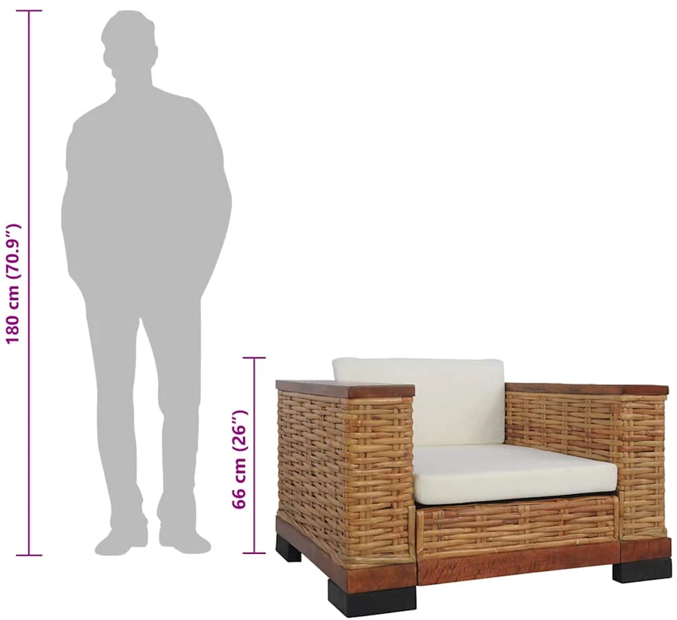 Sofa Sofos komplektas su pagalvėlėmis, 2d., rudos sp., nat. ratanas