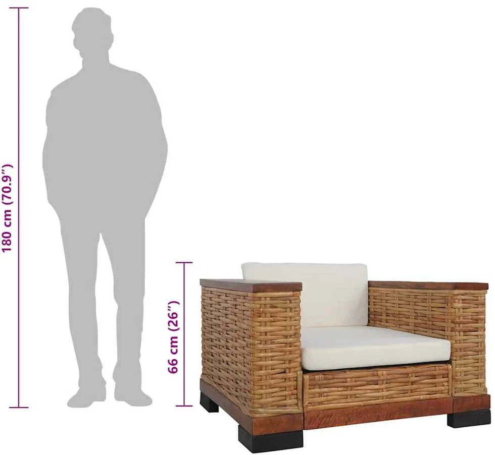 Sofa Sofos komplektas su pagalvėlėmis, 2d., rudos sp., nat. ratanas