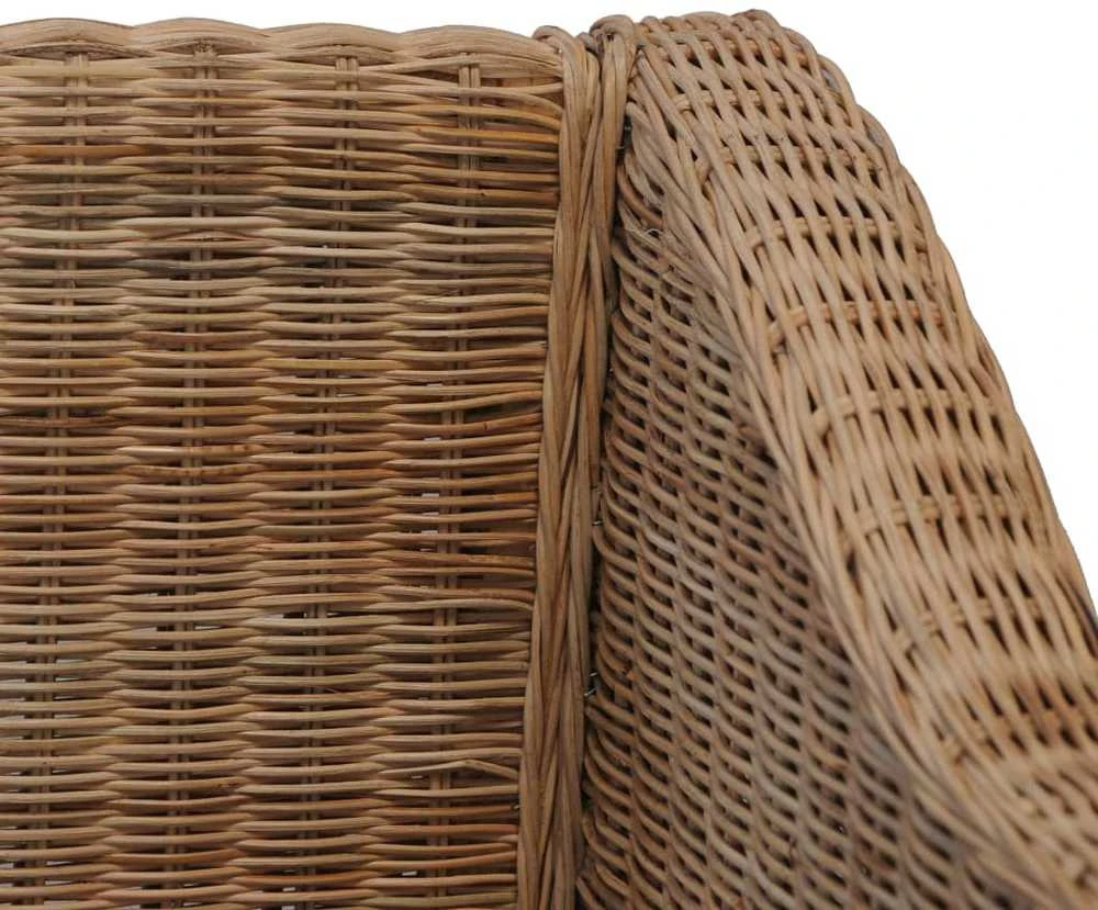 Sofa Sofų komplektas su pagalvėlėmis, 2 d., natūralus ratanas