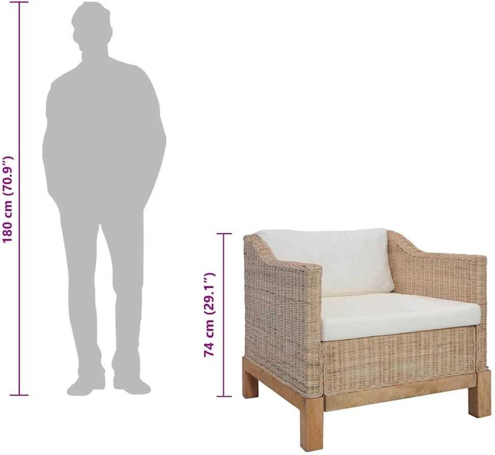 Sofa Sofų komplektas su pagalvėlėmis, 3 d., natūralus ratanas