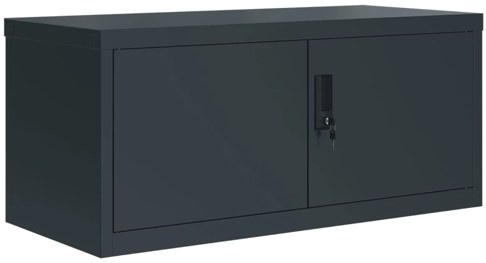 Spintelė dokumentams, antracito spalvos, 90x40x240cm, plienas