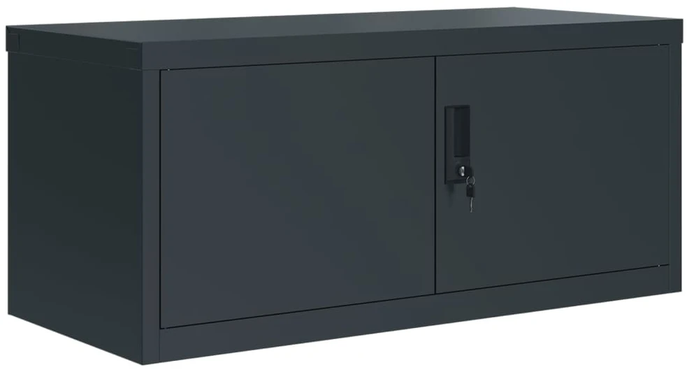 Spintelė dokumentams, antracito spalvos, 90x40x220cm, plienas
