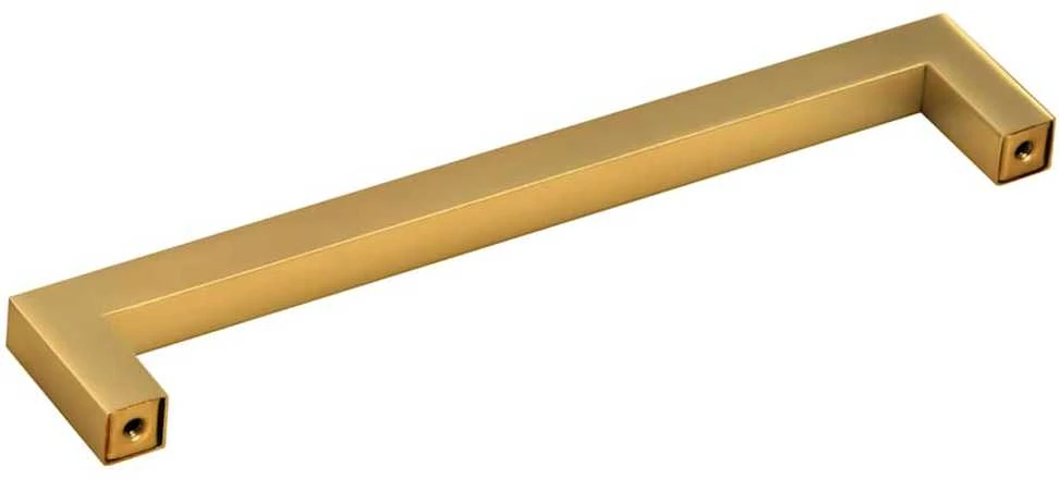 Spintelės rankenėlės, 10vnt., auksinės, nerūdijantis plienas