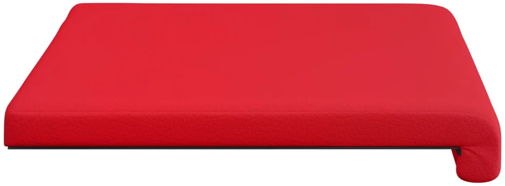 Suoliuko pagalvė Dirbtinė oda Raudona Gylis 35 cm