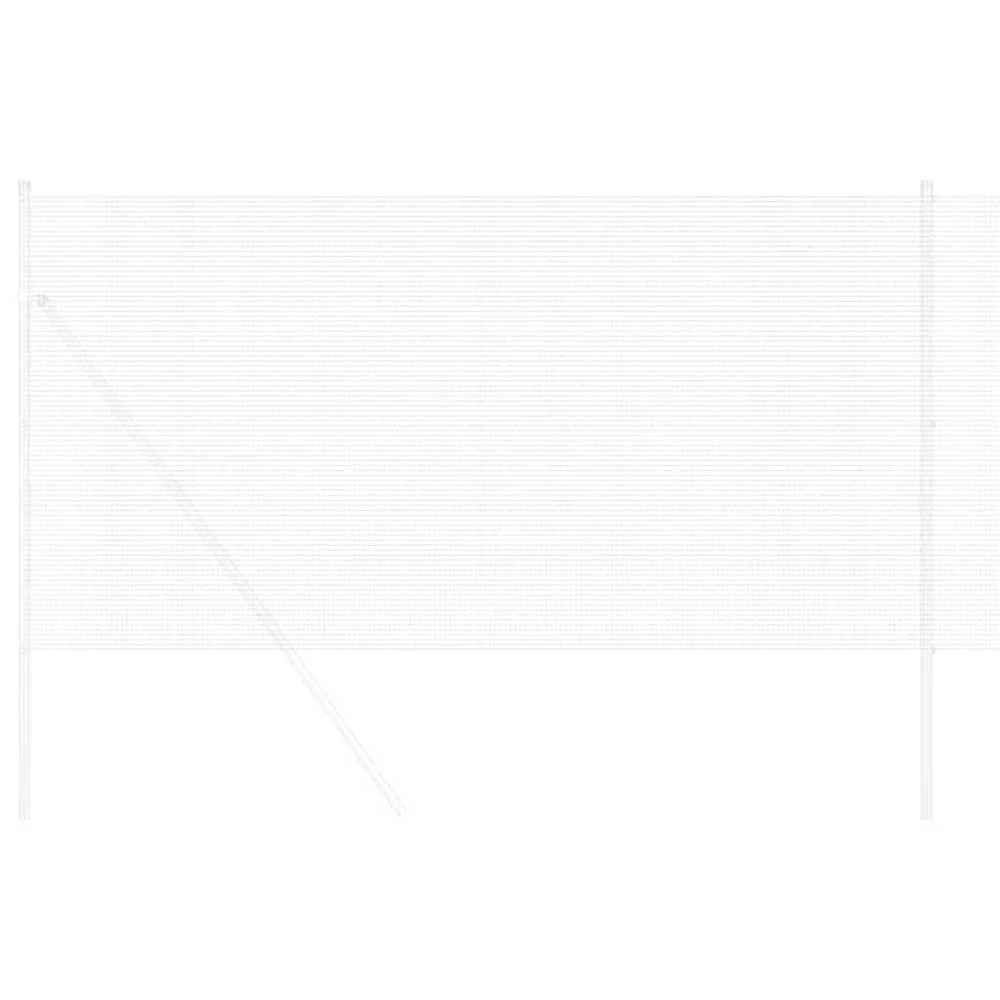 Suvirinto vielos tvoros 2500 x 40 cm Sidabro