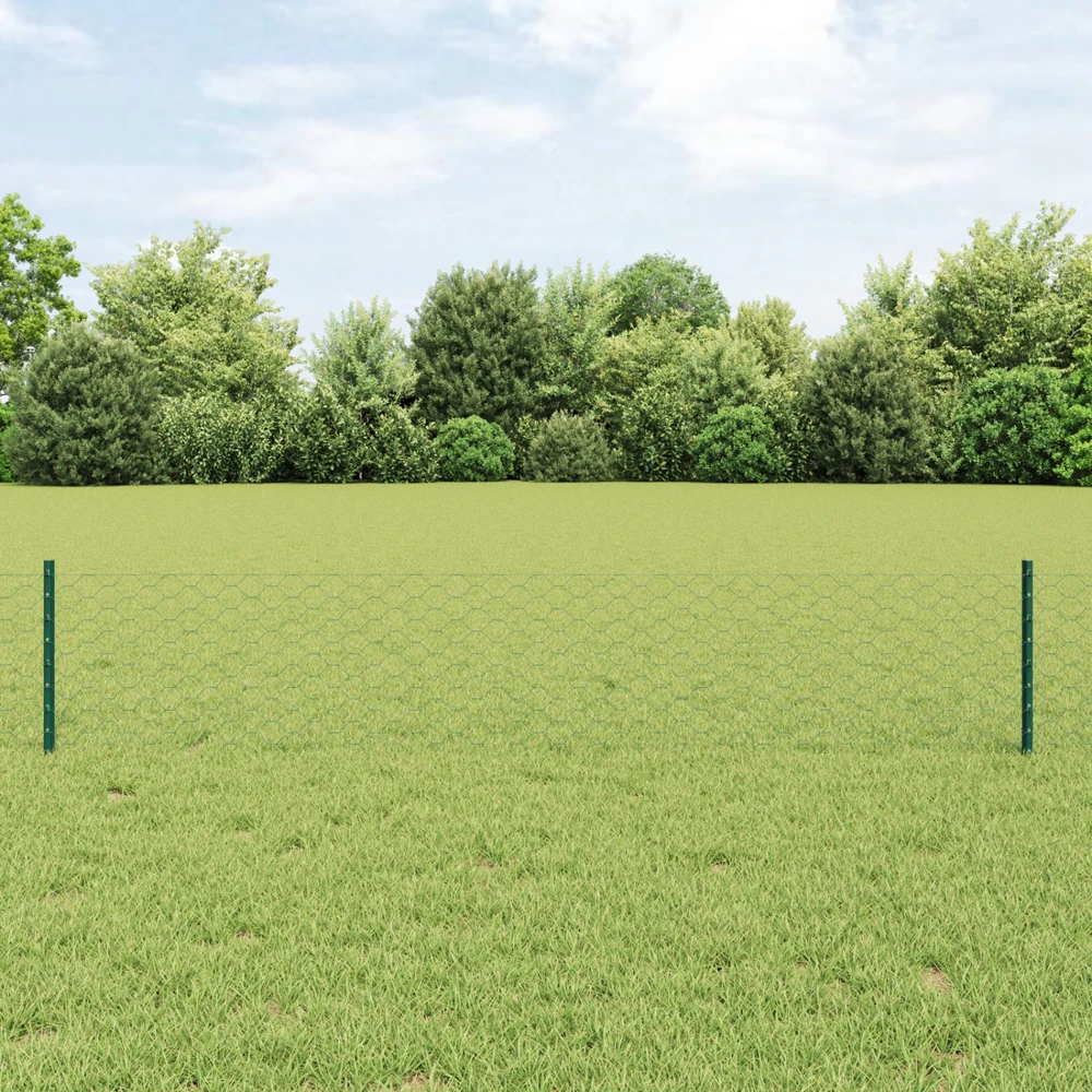 Hexagonal Fence with Post 10 x 0,4 m PVC dengtas plienas Žalia