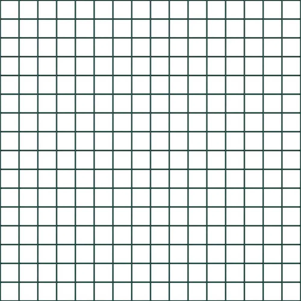 Suvirinto vielos tvoros 1000 x 40 cm Žalia