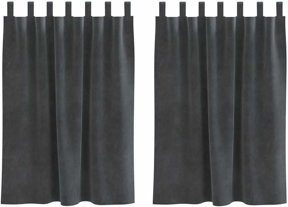 Užtemdymo užuolaidos 2 vnt. Šviesiai pilka 140 x 140 cm Aksomas