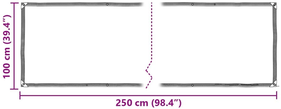 Tarpas Skaidrus 2,5 x 1 m PE
