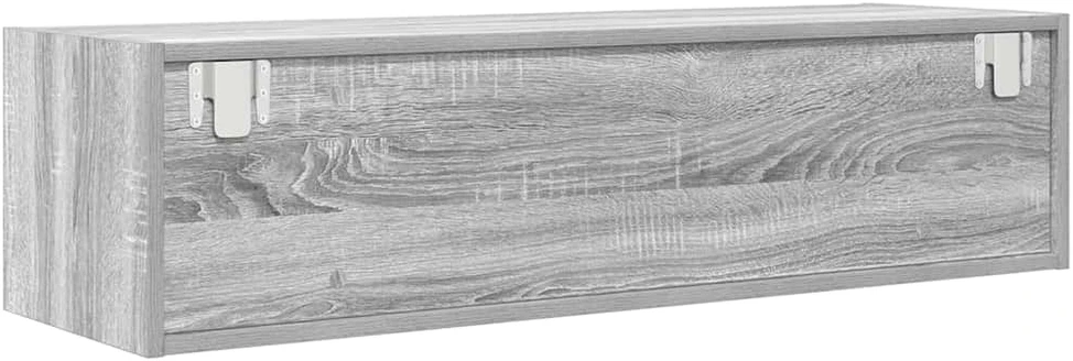 TV staliukas Televizoriaus spintelė 100 x 31 x 25,5 cm Pilka sonoma ąžuolo