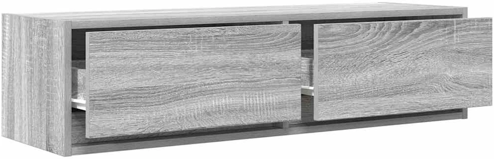 TV staliukas Televizoriaus spintelė 100 x 31 x 25,5 cm Pilka sonoma ąžuolo