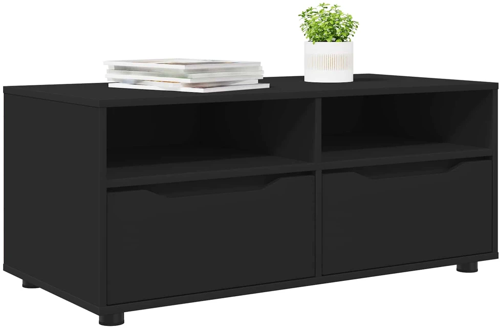 TV staliukas Televizoriaus spintelė 100 x 48 x 43 cm Juoda Apdirbta mediena